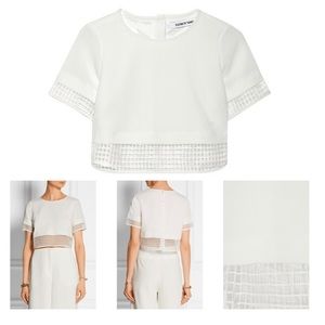 Elizabeth and James Voula Mesh Ivory Crop Top